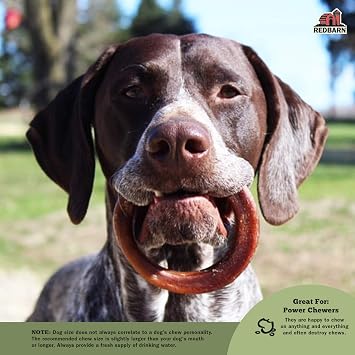 Redbarn Pet Products Bully Rings 3-Count, Pack of 3