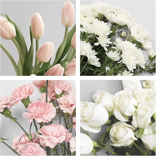 Miniatura 7 de FranklinCovey - Planificador de dos páginas por día con anillo (compacto, abril de 2026 - marzo de 2027)