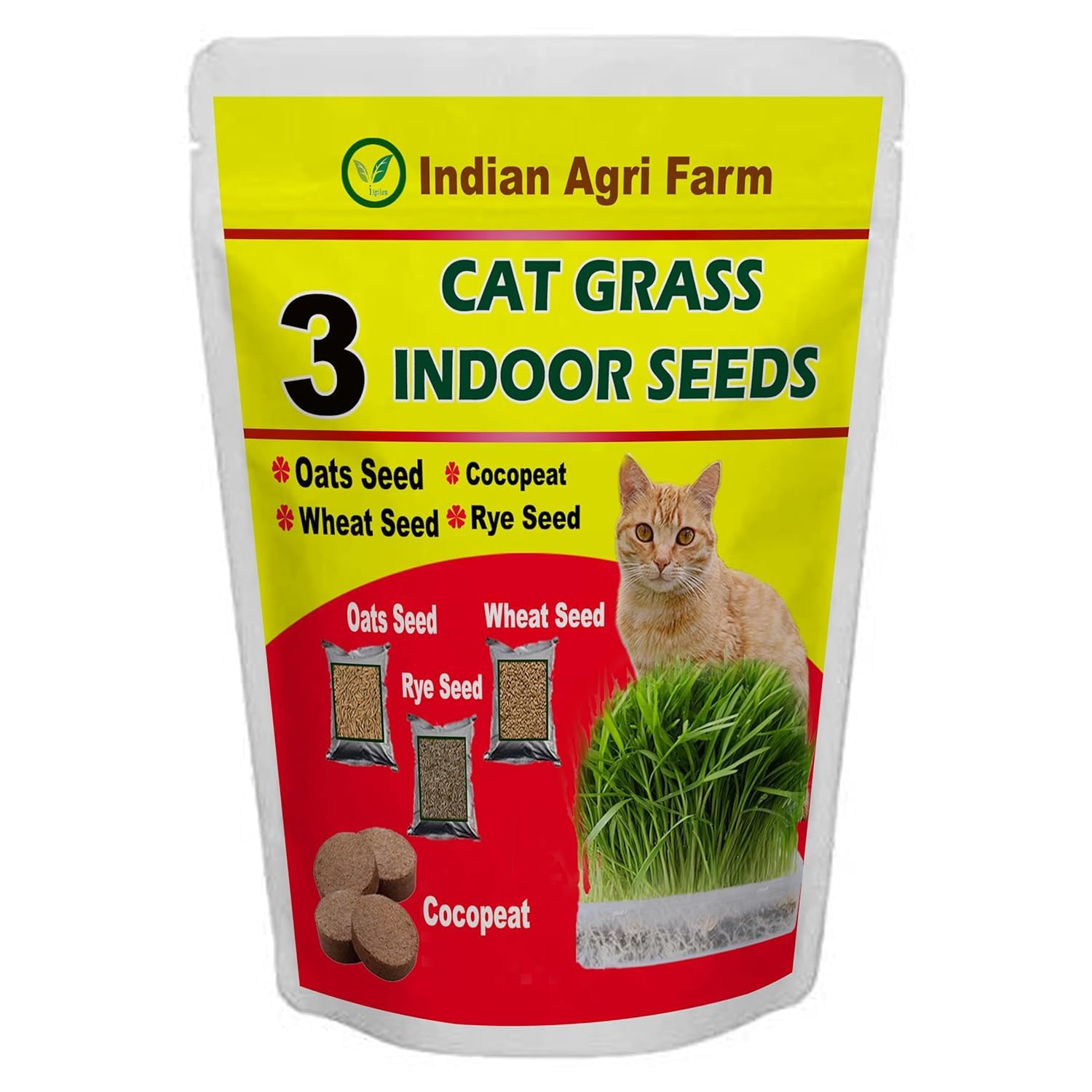 Cat Grass Kit - Pack of 1/ Easy to Grow CatGrass Seeds includes Wheat, Oats & Rye seeds - Package includes 5 Cocopeat Discs, Chemical Free 3 Pack Seeds Mix for 3 Harvests