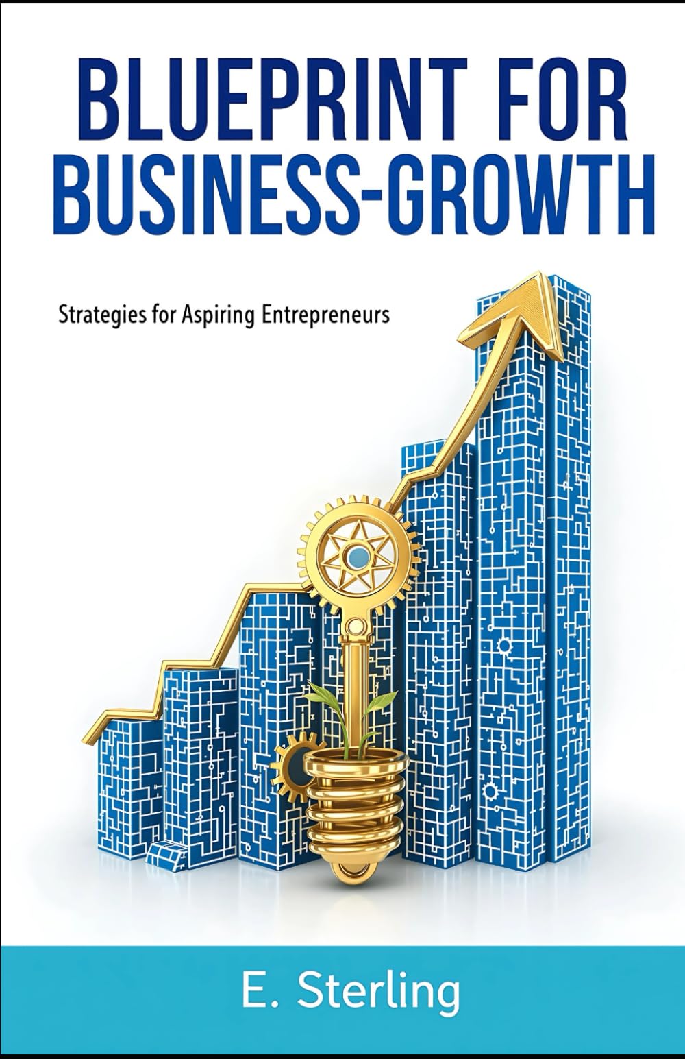 Blueprint For Business Growth: Success Strategies For Aspiring Entrepreneurs