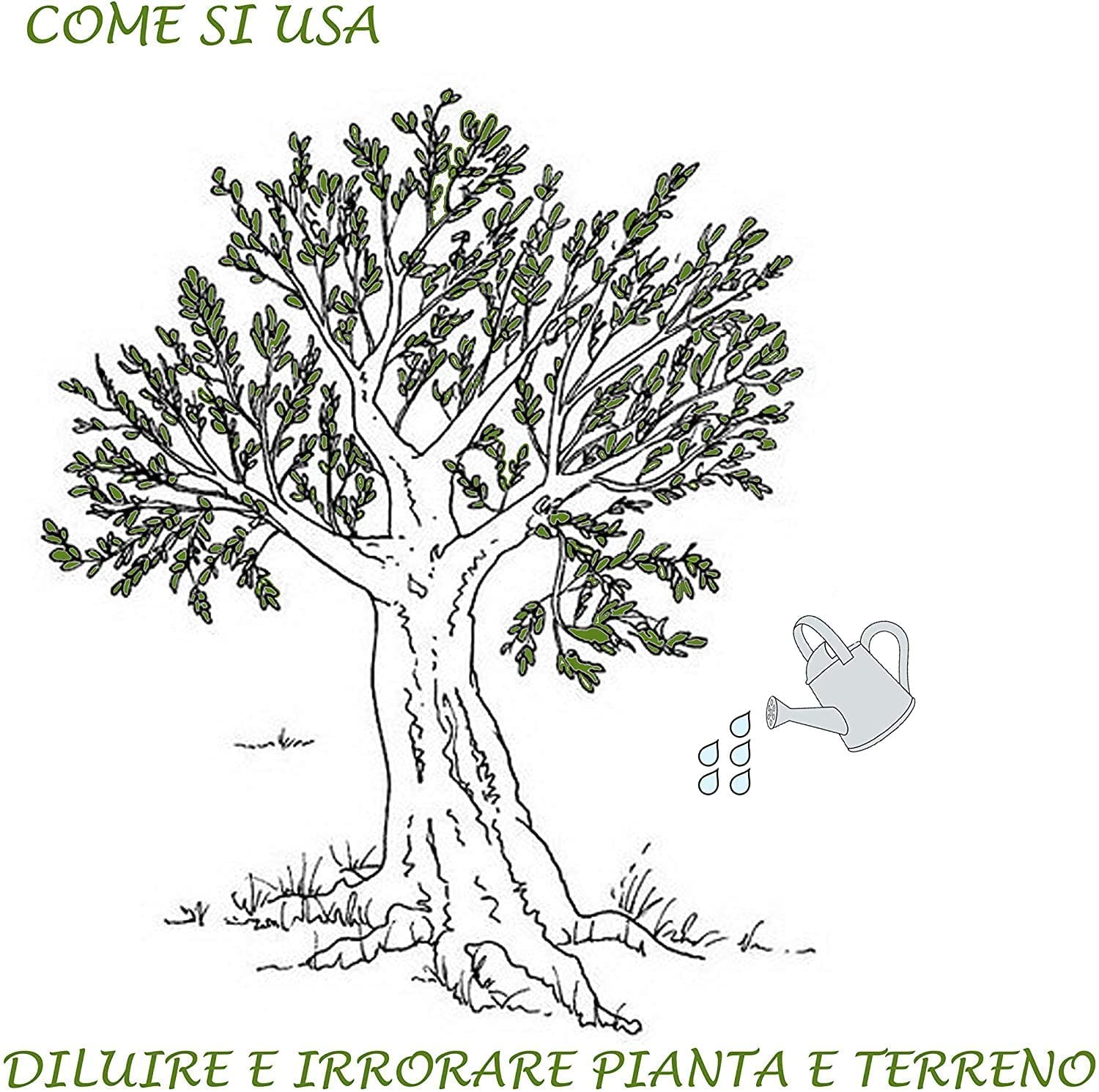 Boro et Concime Liquido Per Olivo - Per Piante Verdi, Fertilizzante Fogliare Per Trattamento Da Orto E Giardino, Integratore Consentito In Agricoltura Bio (5 LITRI)