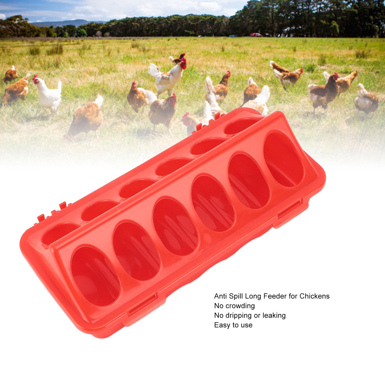 Gsycle 5pcs Flip Top Pigeon Feeder, Plastic Anti Spill Quail Feeder Chick Feeder Poultry Feeder Plastic Water Troughs Chicken Treat Dispenser for Pigeons, Chickens, Parrots