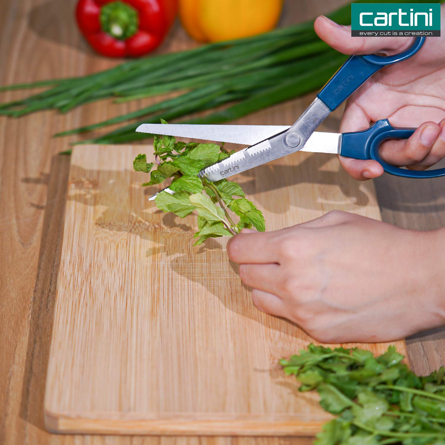 Godrej Cartini Scissors I For Kitchen I For vegetable Leaf Cutting, spring onions I For Heavy usage with thick blades I 8" High grade Stainless Steel, Long lasting life I 1 Year Warranty - Image 7 thumbnail