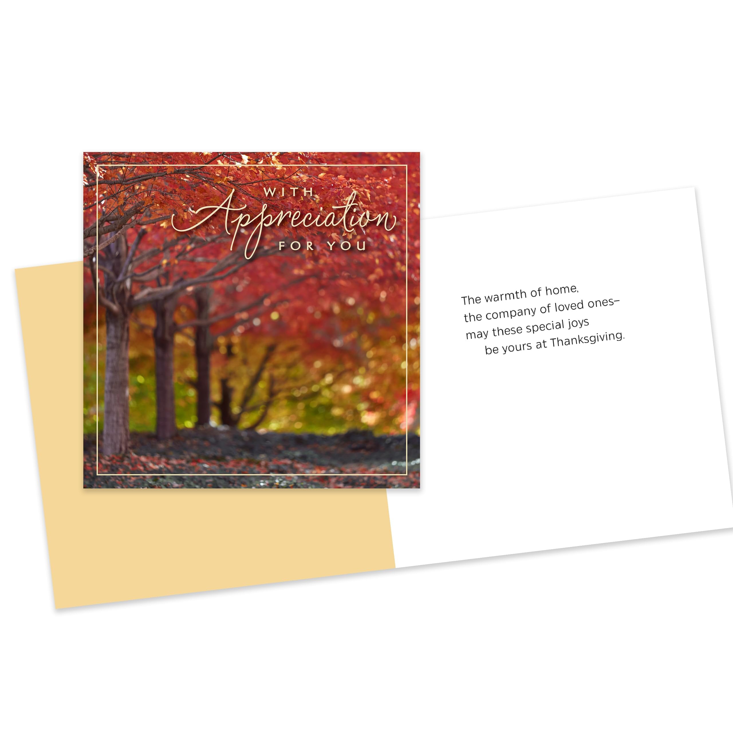 Tarjetas De Acción De Gracias Para Empresas Hallmark - Pack De 25, 5x7 Pulgadas, Con Sobres, Para Empleados O Voluntarios