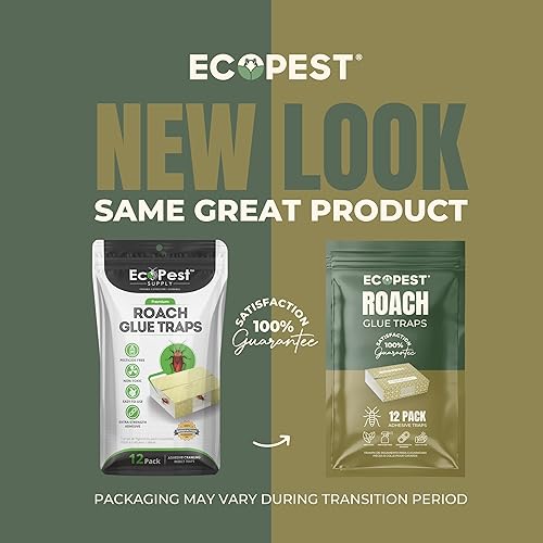 Miniatura 11 de Trampa para cucarachas  Paquete de 12  Trampas adhesivas de pegamento para interiores para cucarachas y otros insectos e insectos rastreros  Motel
