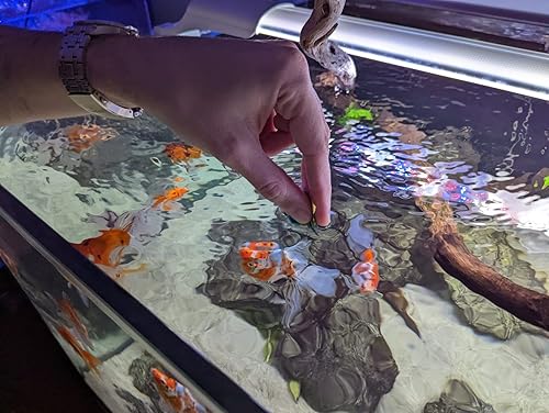 Miniatura 4 de Cobalt Aquatics Pellets de camarones 8lb. Bolsa resellable