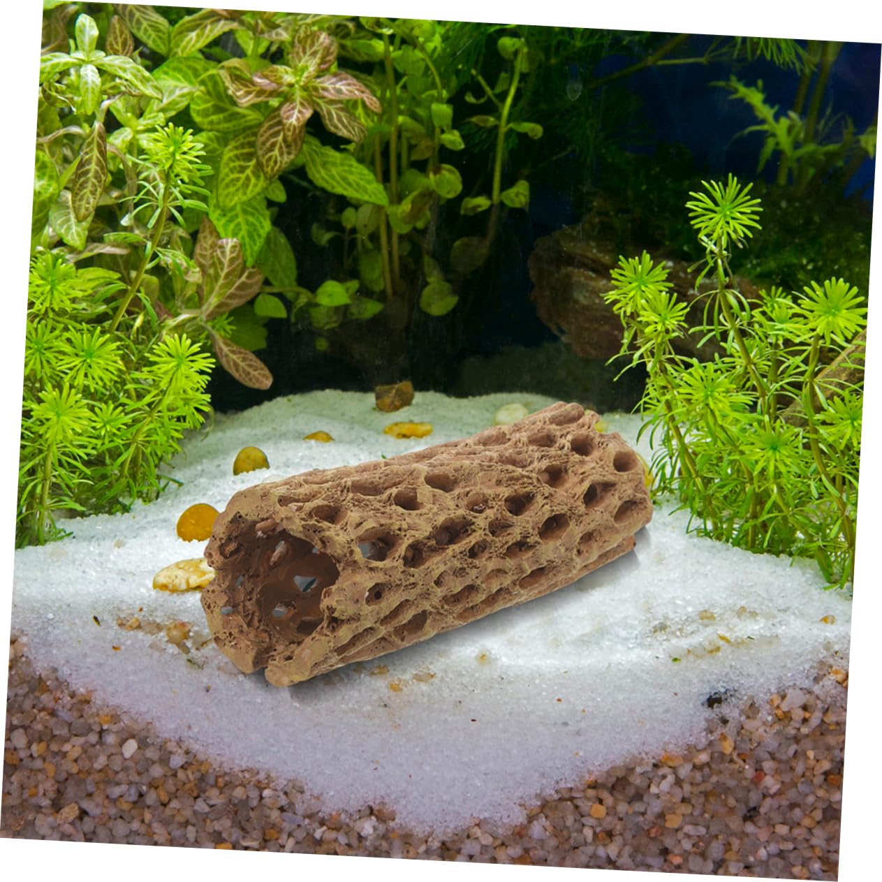 2 Stück Resin Garnelenversteck Aquarium Deko Kleines Fischversteck Naturgetreu Robust für Süßwasser und Meerwasser Aquarien Zubehör