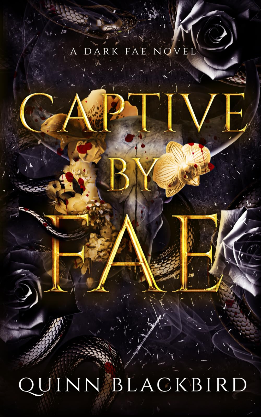 Captive by Fae: A Dark Fae Romance: 2 (Hunted by Fae)