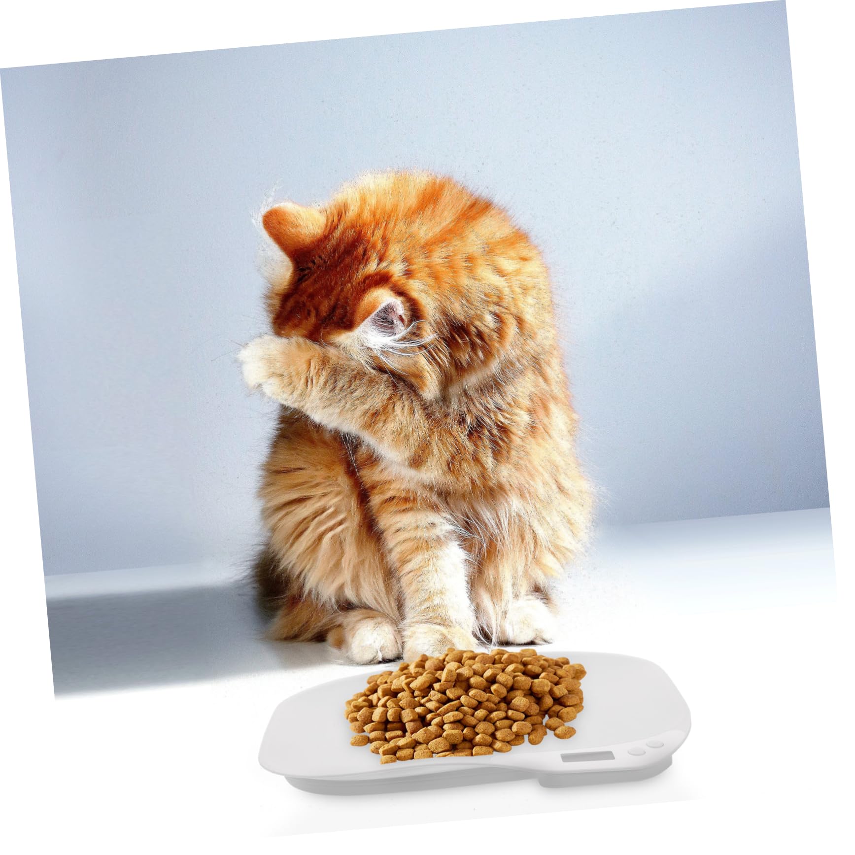 BESPORTBLE Balance Électronique pour Animaux de Compagnie Pèse-bébé Mini Précision Capteurs Haute Sensibilité Usage Domestique Chatons Chiots