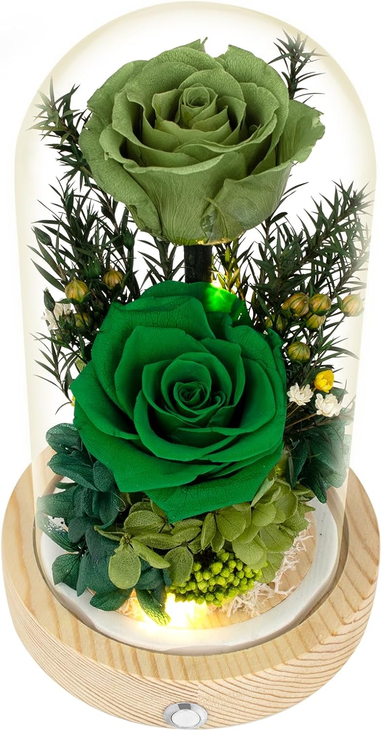 Preserved Flowers Gifts for Women, Unique Green Preserved Roses in Glass Dome, Forever Flowers for Mom, Birthday Gifts for Women