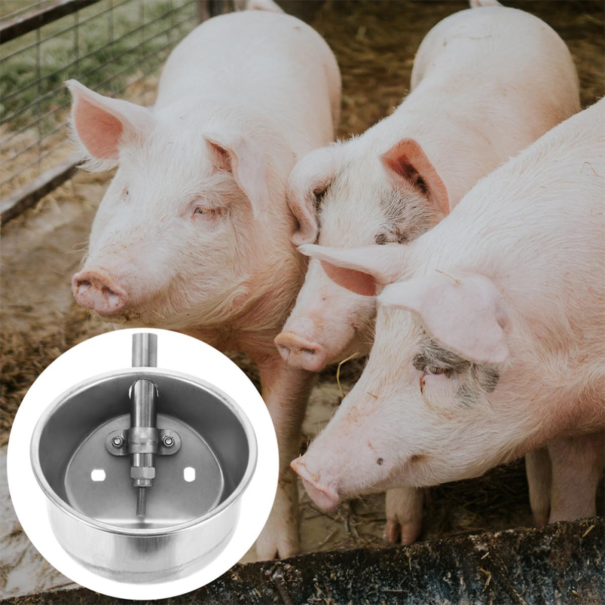 2 Stück Edelstahl Schweinetränke Automatische Viehtränke Rund Dn15