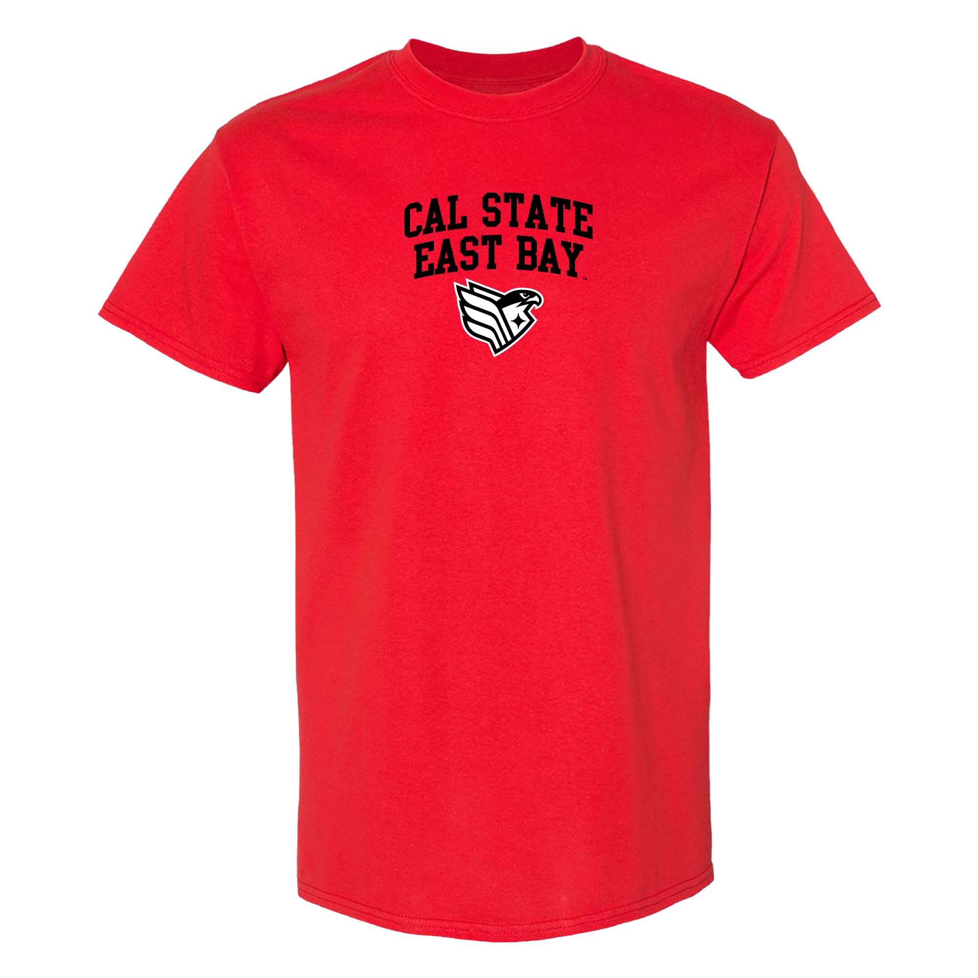 NCAA Arch Logo - NCAA Sports Team Color T Shirt — view 104