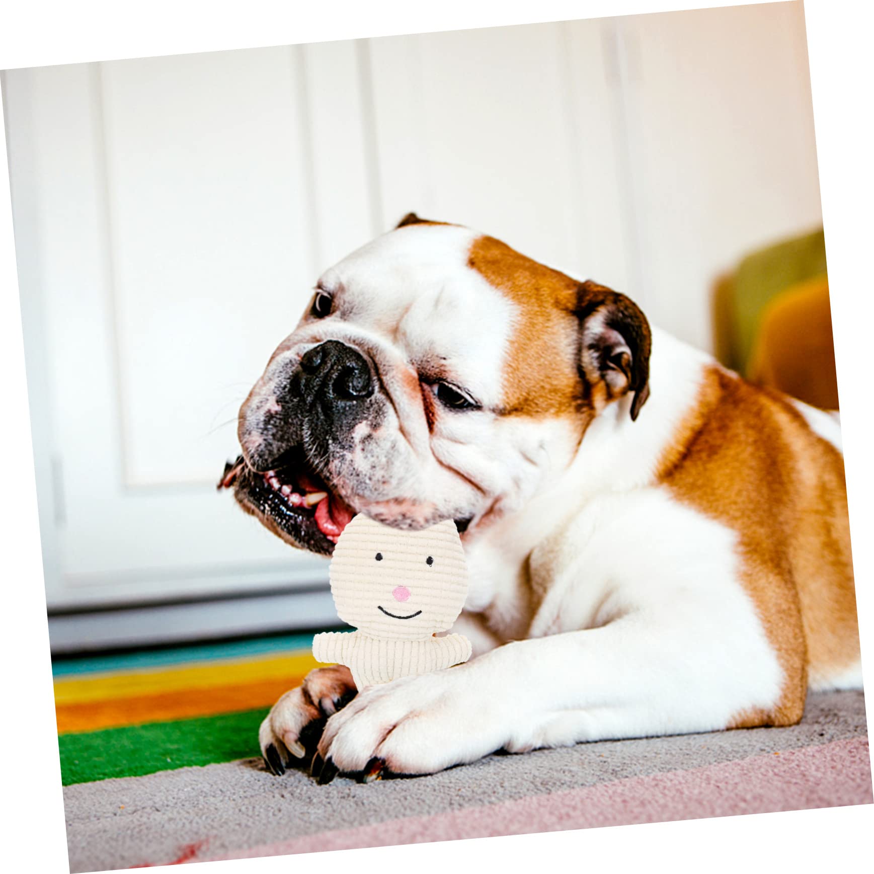 Supvox 5stücke Hundespielzeug Aus Plüsch Mit Quietscher Molarspielzeug Für Hunde Und Katzen Langlebig Und Sicher Zähneputzen Und Spielen Für Kleine Und Mittelgroße Haustiere