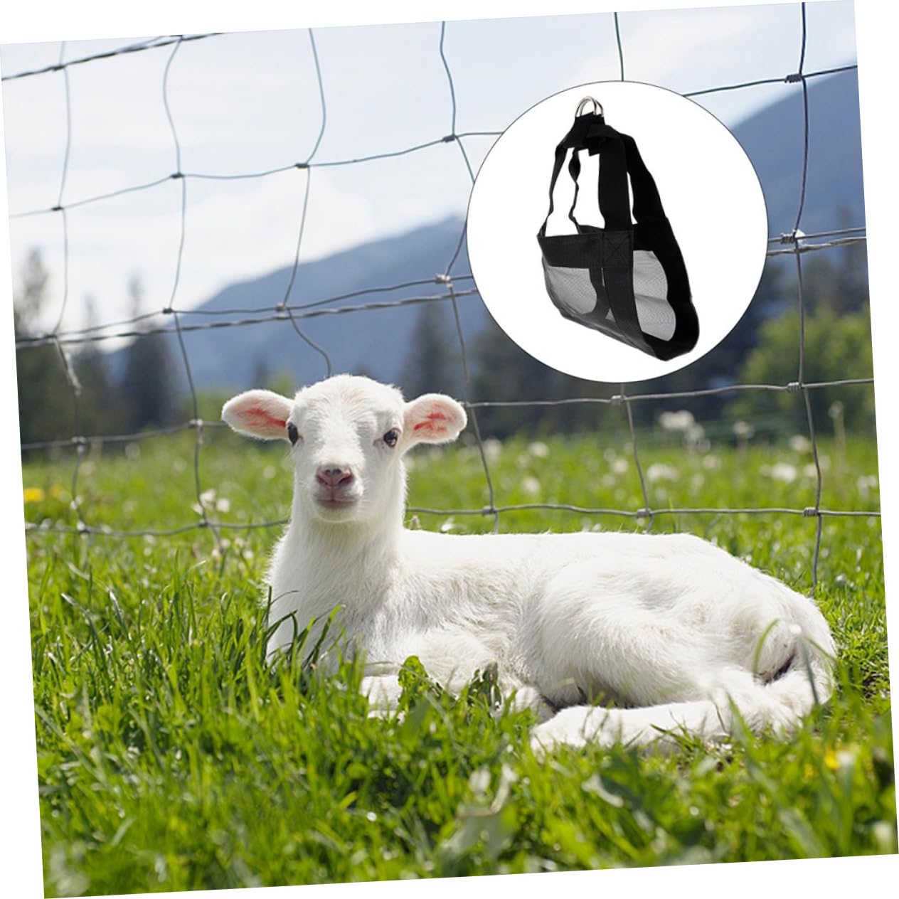 Imbracatura 2 Pezzi per Pesatura Animali Piccoli in Nailon Nero Sicura e Facile da Usare con Vitelli Ragazzo Ragazza e Altri Animali Altri Animali