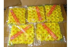 Made in Vietnam Plastic Artificial Yellow Apricot Flower (HOA MAI) 5 Bags