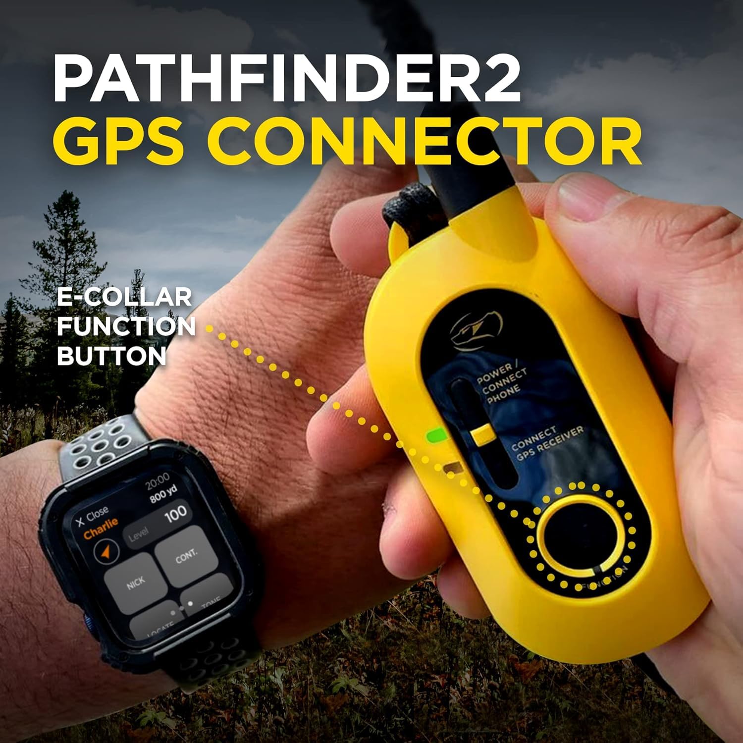 Amazon.com : Dogtra 2 Dog Pathfinder 2 GPS Dog Tracker e Collar