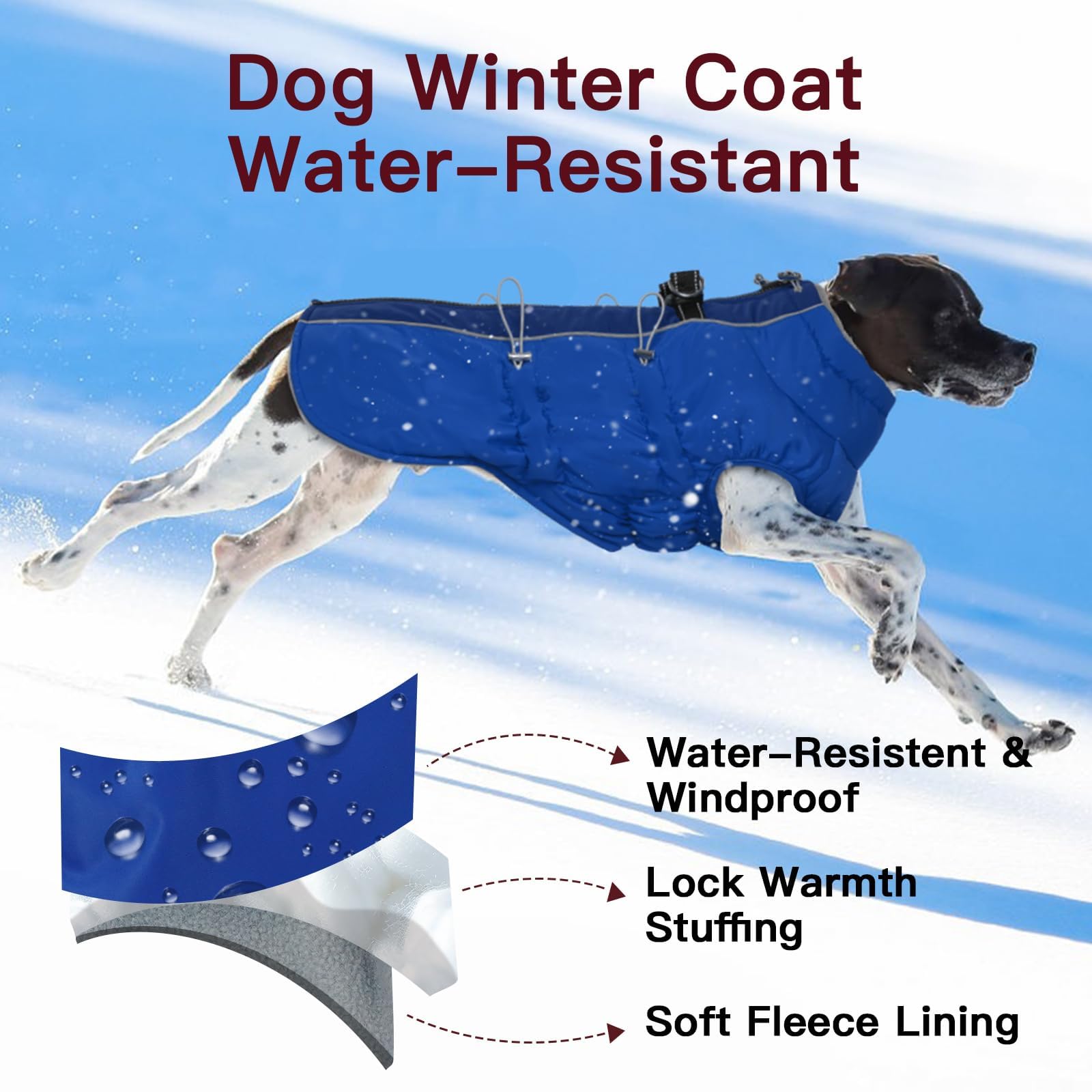 Hundemantel, warm, mit Reißverschluss, reflektierend, wasserabweisend, Königsblau