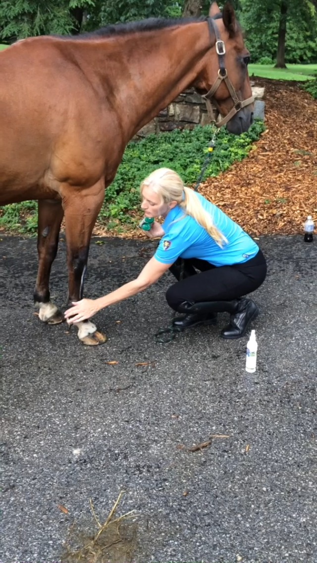 Dr. Milt's Horse Topical Epsom Salt Pain Relief Ointment Rub: Poultice and Liniment Cream. 1-8oz Cream - image 7