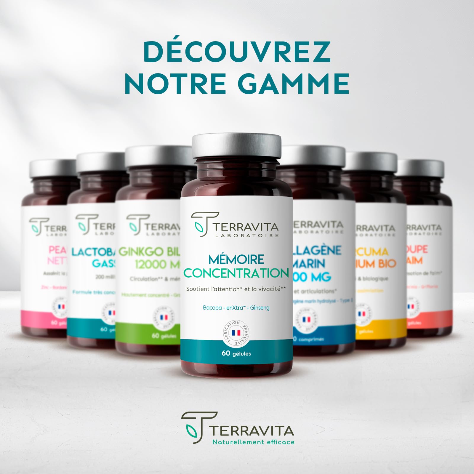 Mémoire Concentration | Ginseng Rouge de Corée + Bacopa + Actif Breveté EnXtra | 5 Heures de Vivacité et de Clarté Intellectuelle | Nootropique sans Caféine | 60 Gélules | Made in France | Terravita