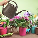 Fasmov 1-Gallon Plastic Watering Can with Comfortable Handle, Garden Watering Cans Long Spout for Indoor Outdoor Watering Plants, Gray