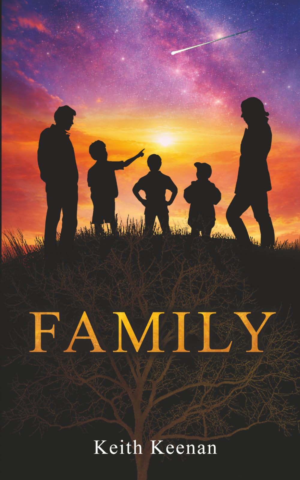 Family: Second Edition (Being Here)