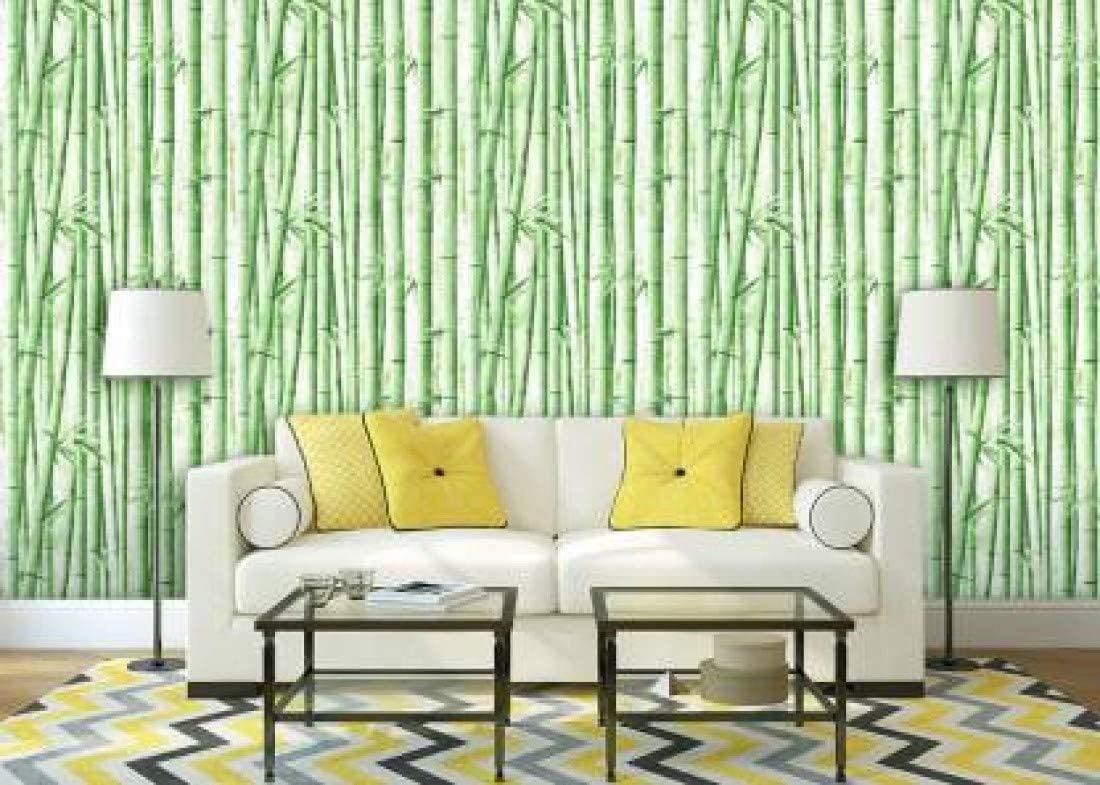 JAS HOME DECORS Green Bamboo SELF Adhesive Wallpaper for Living Room Bedroom Office Hall Corridor Peel and Stick Vinyl Wallpaper 200 * 45Cm-9Sqft (B0C1ZMSY1K) Amazon Price History, Amazon Price Tracker