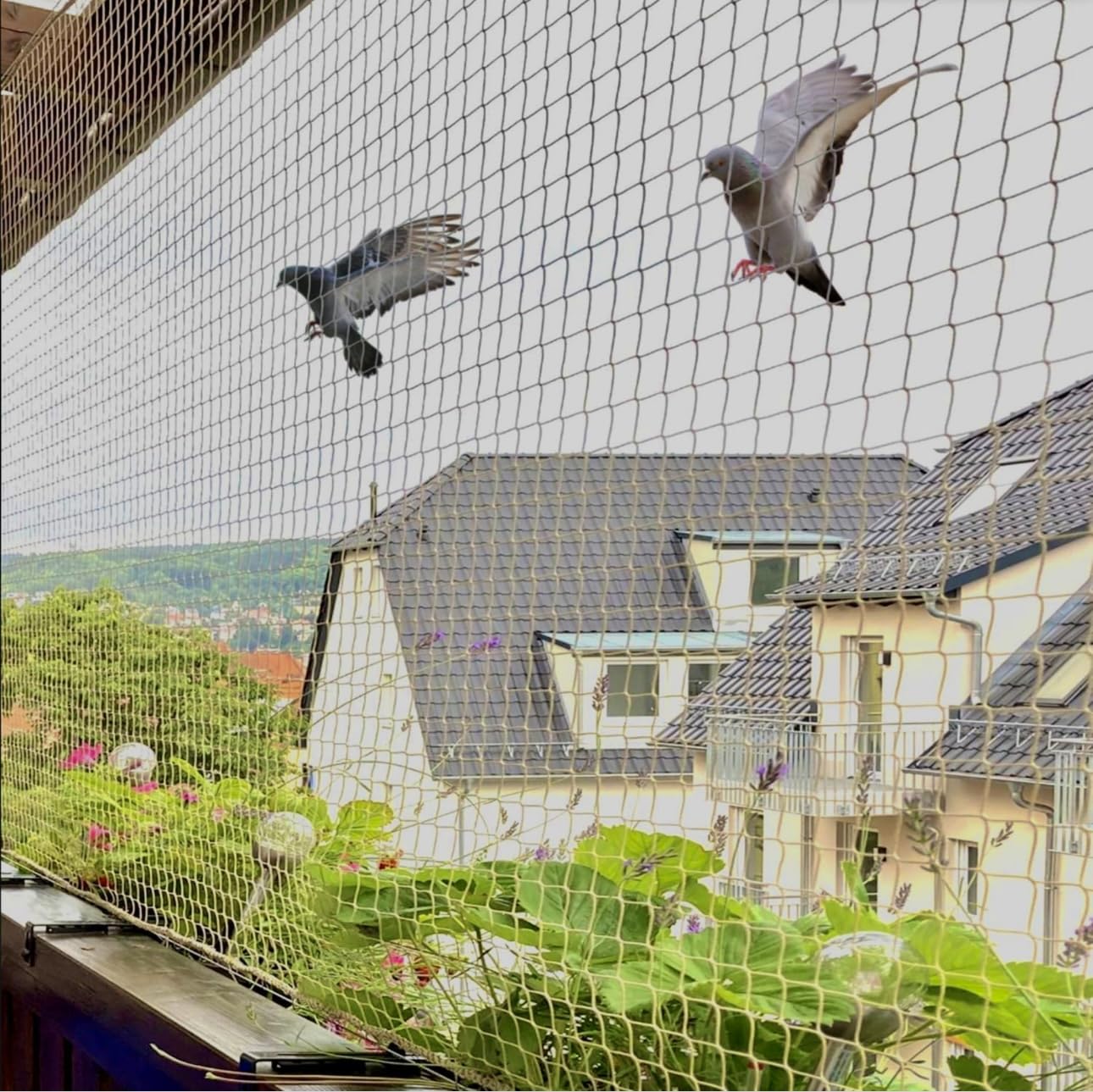 (6 FT X 8 FT) Anti Bird Net for Balcony, Bird Control Net, UV Stabilized Pigeon Net (Pack of - 1) (B0D7D8ZW1N) Amazon Price History, Amazon Price Tracker