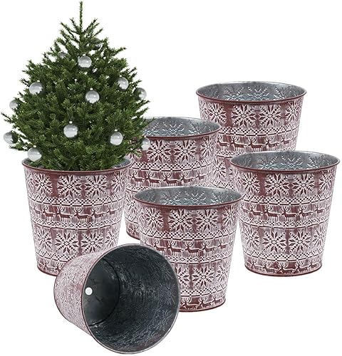 Cubos de metal galvanizado rojo de Navidad, 6 macetas rústicas de hojalata con orificio de drenaje y enchufe, regalo de Navidad, maceta vintage para