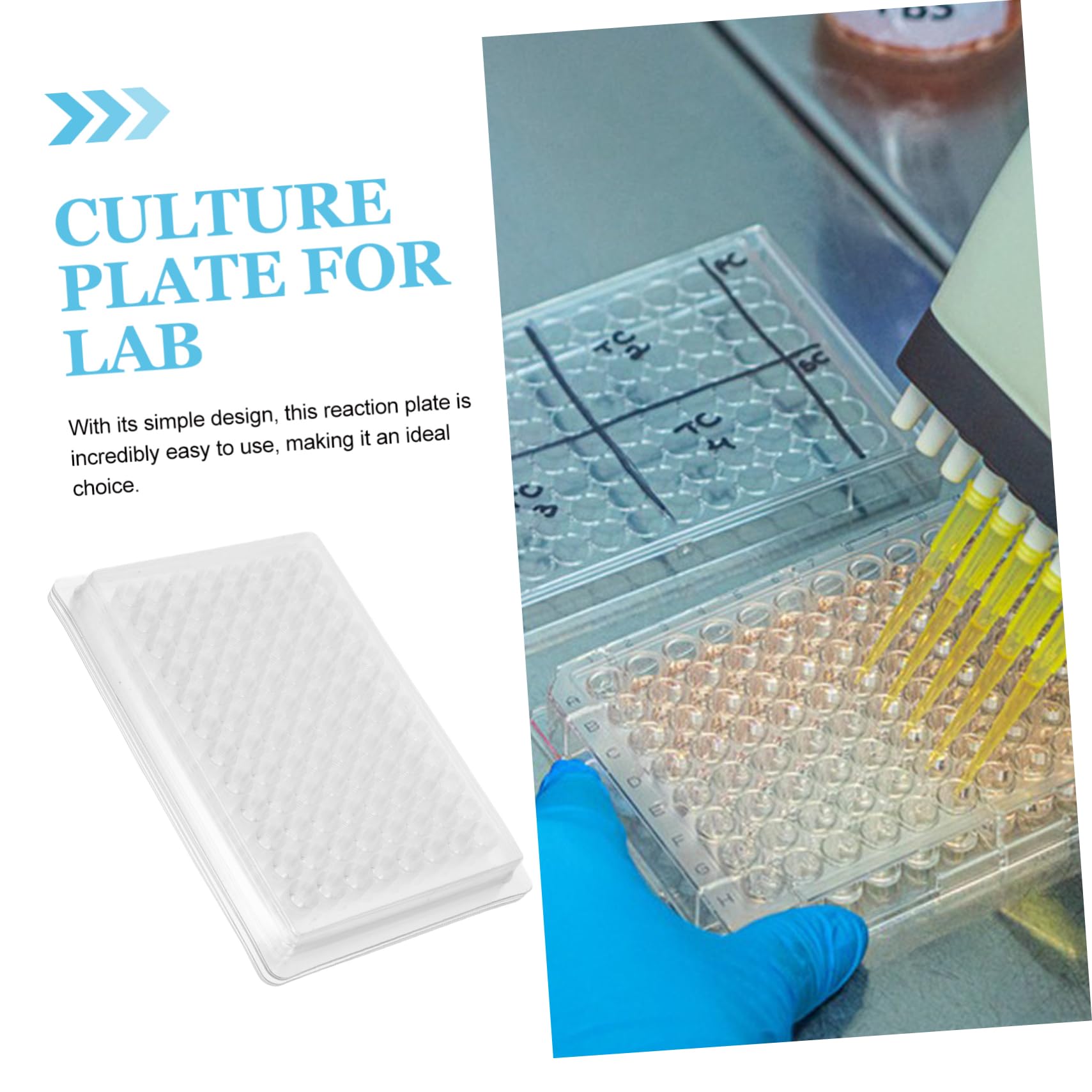 Cabilock 3 Set Strumento Per La Coltura Dei Tessuti Laboratorio Strumenti Per La Coltura Dei Tessuti Piastra Di Coltura Cellulare Pvc Transparent 100 Pezzi*3