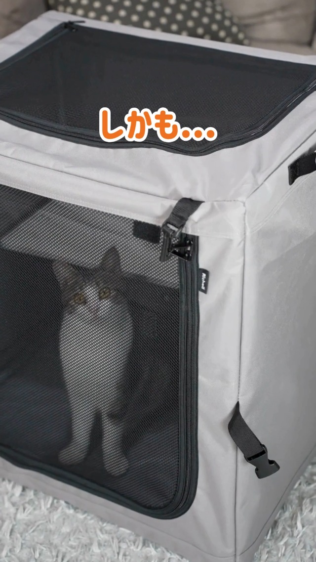 Amazon.co.jp: リッチェル たためるキャットケージ : ペット用品