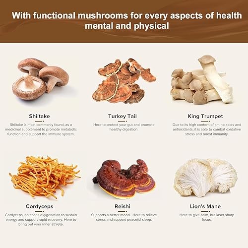 Miniatura 4 de Café de champiñones con cordiceps de melena de león y chaga 30 porciones