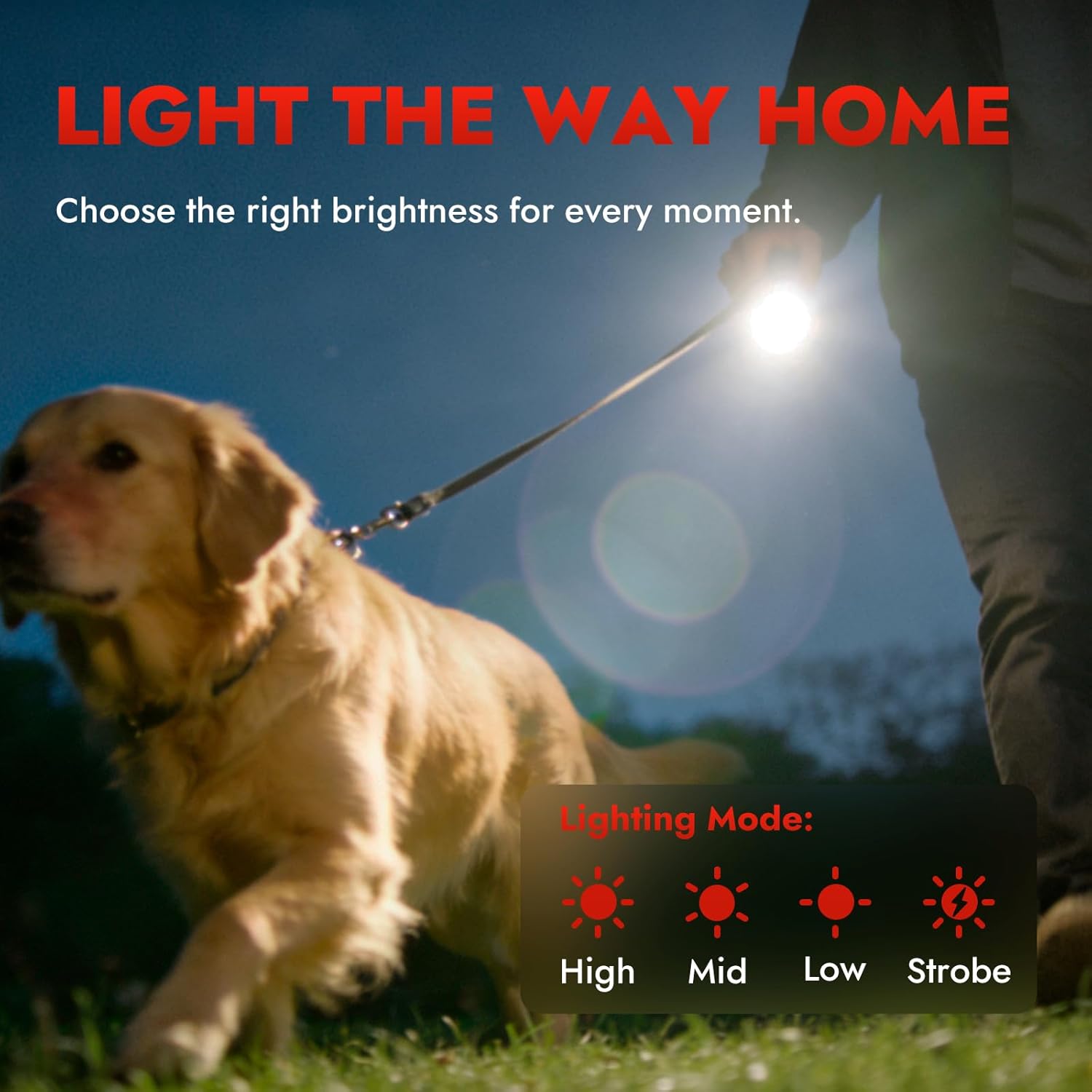 WARSUN Mini Spinning Rechargeable EDC Flashlight – Compact Pocket Flashlight, USB-C Aluminum Alloy Torch with Magnetic Base, 5 Light Modes for Camping, Dog Walking & Daily Use