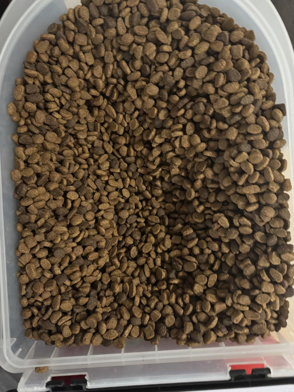 IAMS Proactive Health Minichunks Adult Dry Dog Food with Real Chicken, 30 lb. Bag photo review