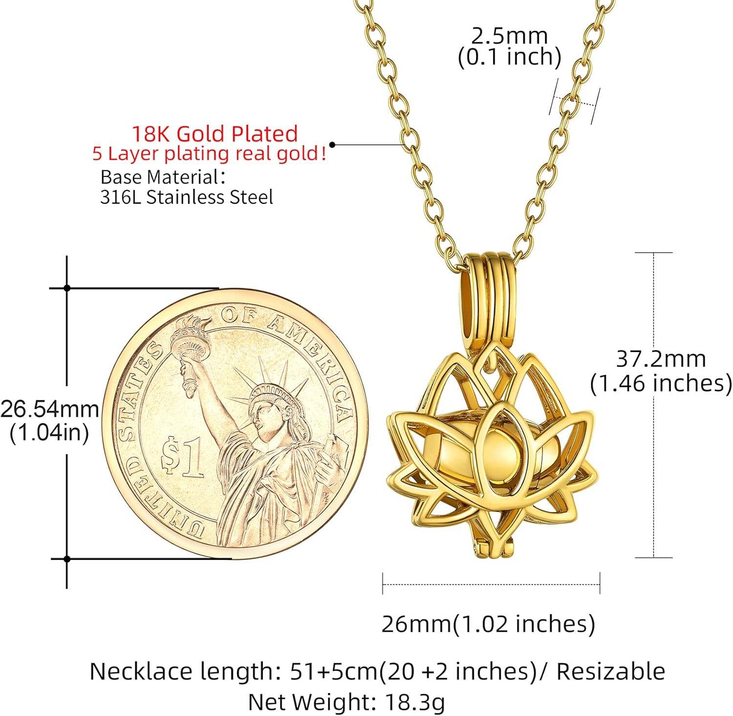 GOLDCHIC JEWELRY Urn Necklaces for Ashes, Stainless Steel Pet/Cross/Birthstone/Tree of Life Personalized Keepsake Memorial Jewelry for Women