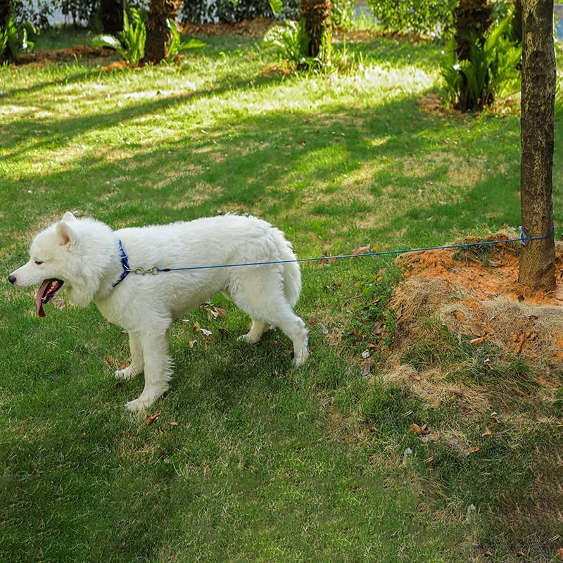 Mi Metty Kausichere Hundeleine, 6FT Bissfeste Hundeleine für große Hunde Bis zu 250lbs,Retrieverleine mit Bequemen Gepolsterten Griff (Schwarz+Blau)