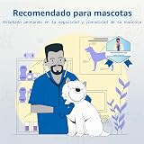 Ver la foto 8