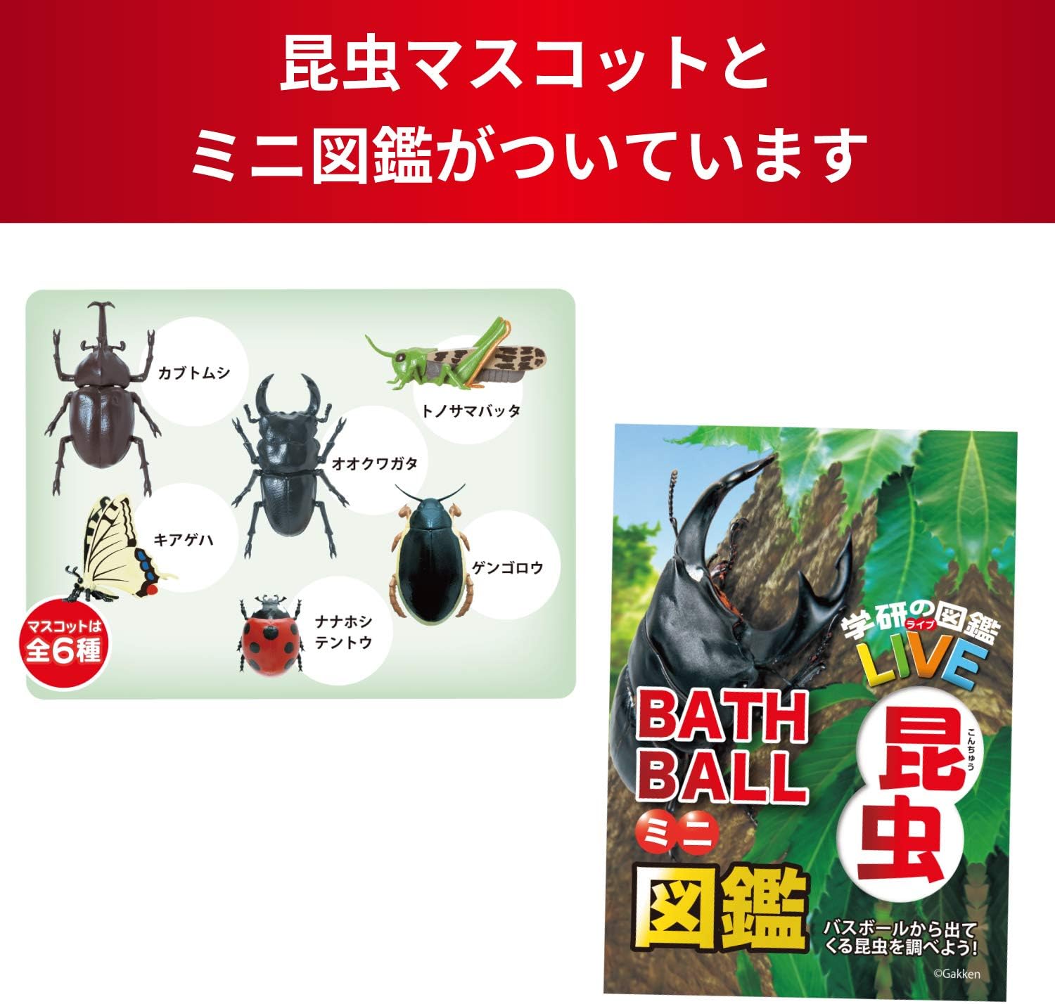 Amazon 学研の図鑑ライブ バスボール 昆虫 マスコット入り 香り付き Gkn 2 01 ノルコーポレーション ビューティー 通販