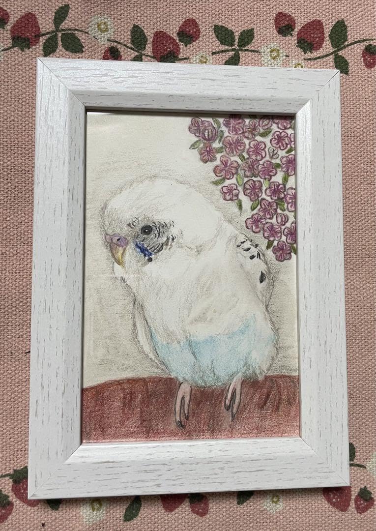 色鉛筆画 インコ(原画) Amazon.co.jp: 色鉛筆画 リアル可愛いセキセイインコ色鉛筆画 原画