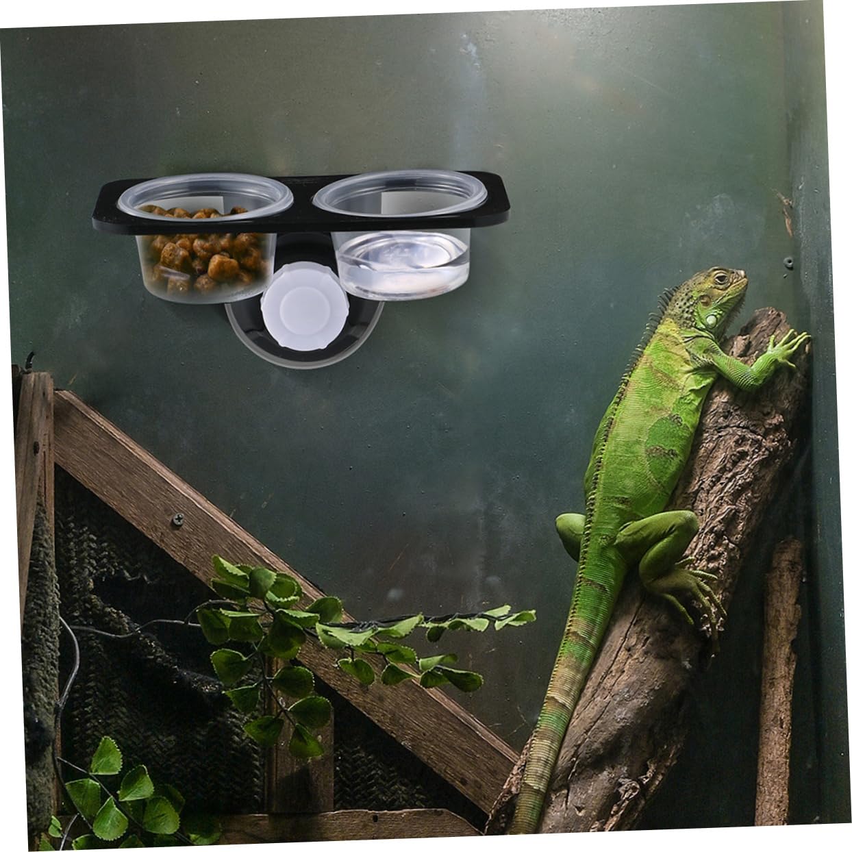 CORHAD 2Pcs Reptile Drinking Basin Stable Lizard Feeder Wall Hanging Bowl Easy to Clean Feeding Dish for Gecko and Pets