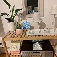 二十一世紀　霊的生き方のすすめ　超能力獲得の原理　川島善市 二十一世紀 霊的生き方のすすめ 超能力獲得の原理 川島善市