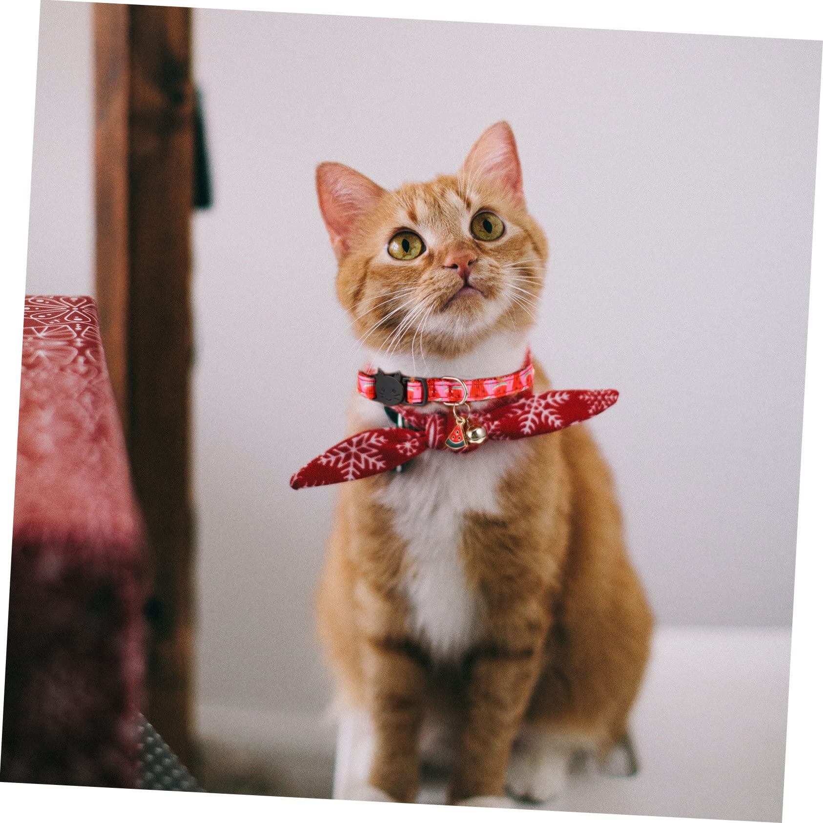 ABOOFAN 12pièces Collier Ajustable pour Chat avec Ensemble De Motifs Fruits Avocat Ananas Pastèque Accessoire pour Animaux De Compagnie
