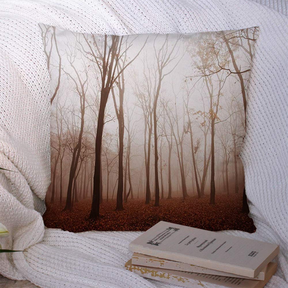 Decorative Throw Pillow Cover Polyester Park Thicket Smok Taiga in Outdoor Mist Season Trees Haze Thick Fog Forest Fall Nature Beautiful Cozy Square Case for Sofa Couch Living Room 20x20 Inch