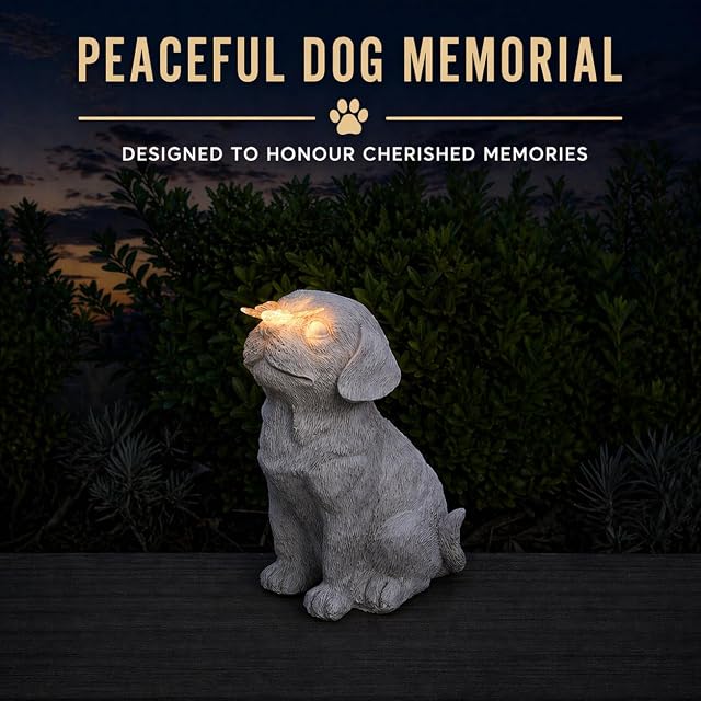 Foto 2 de 8 de Festive Lights - Perro con efecto de piedra solar de 20 cm con luz conmemorativa de mariposa, LED blanco…