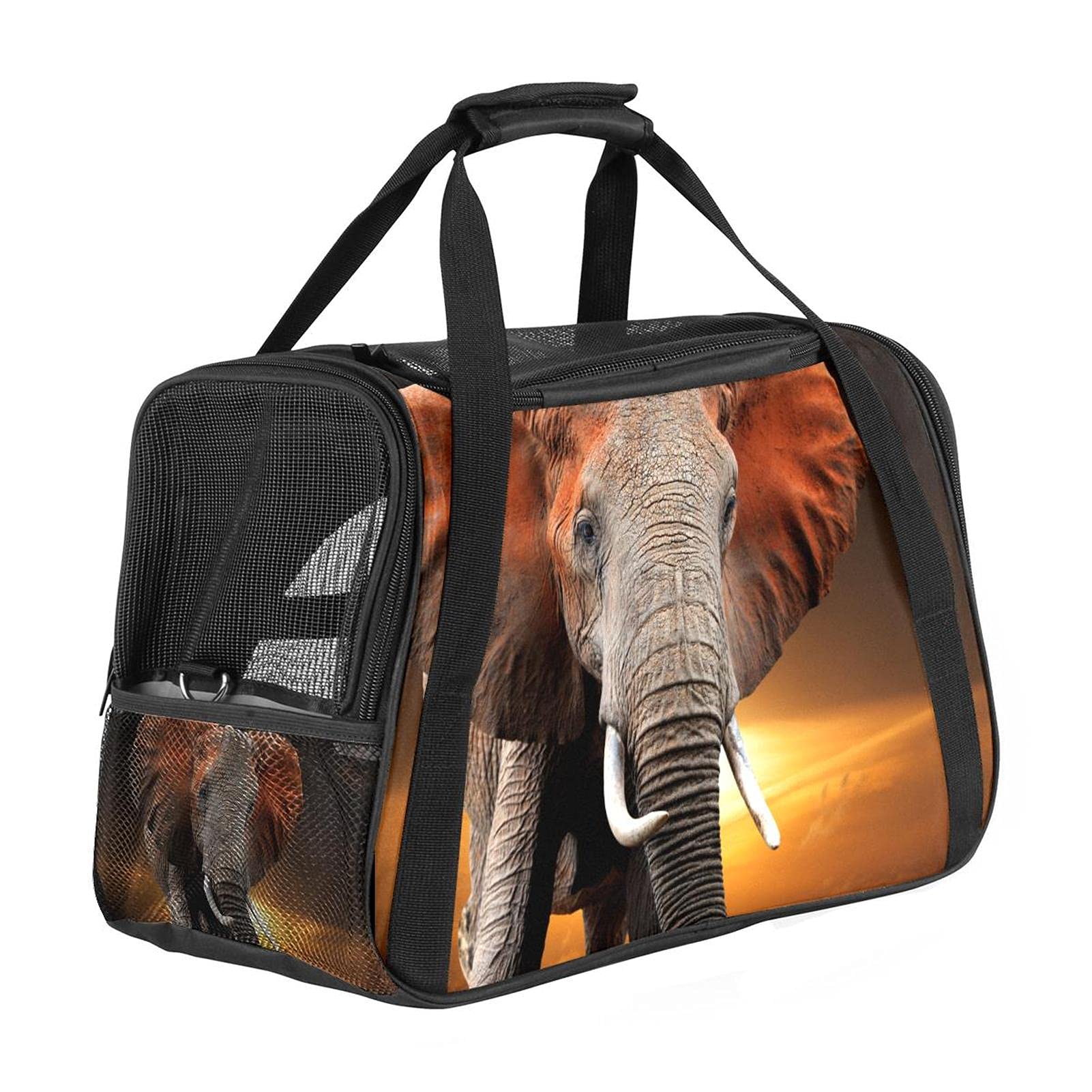 Sac de transport chat et chien approuvé avion cabine motif coucher de soleil