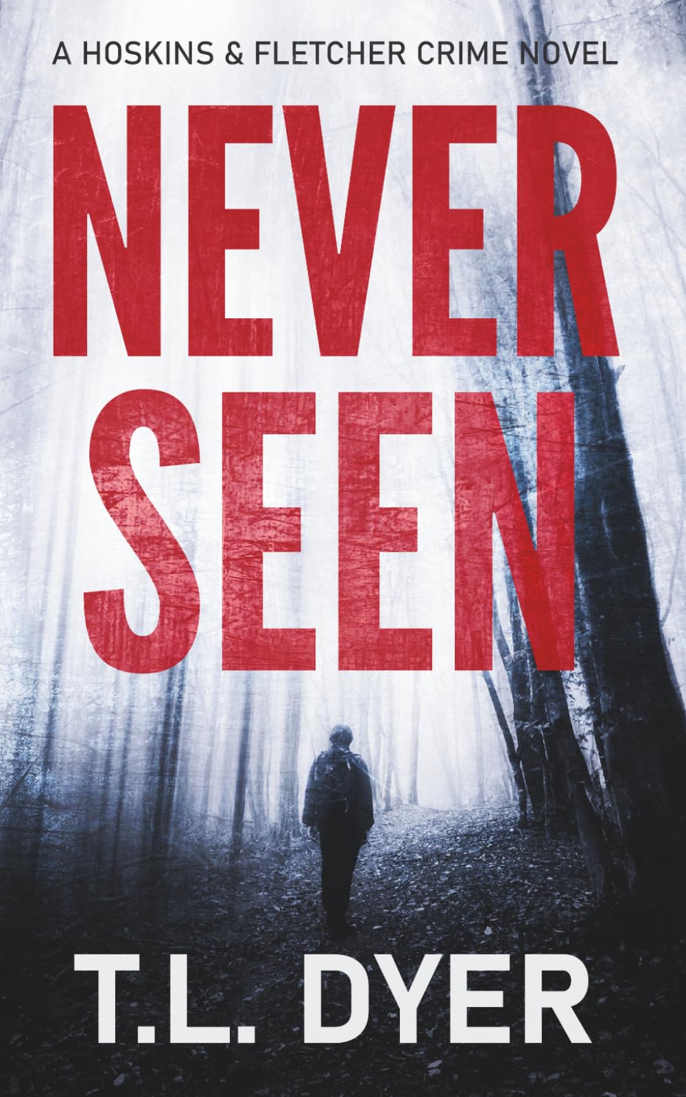 Never Seen: A gripping serial killer thriller (Hoskins & Fletcher)