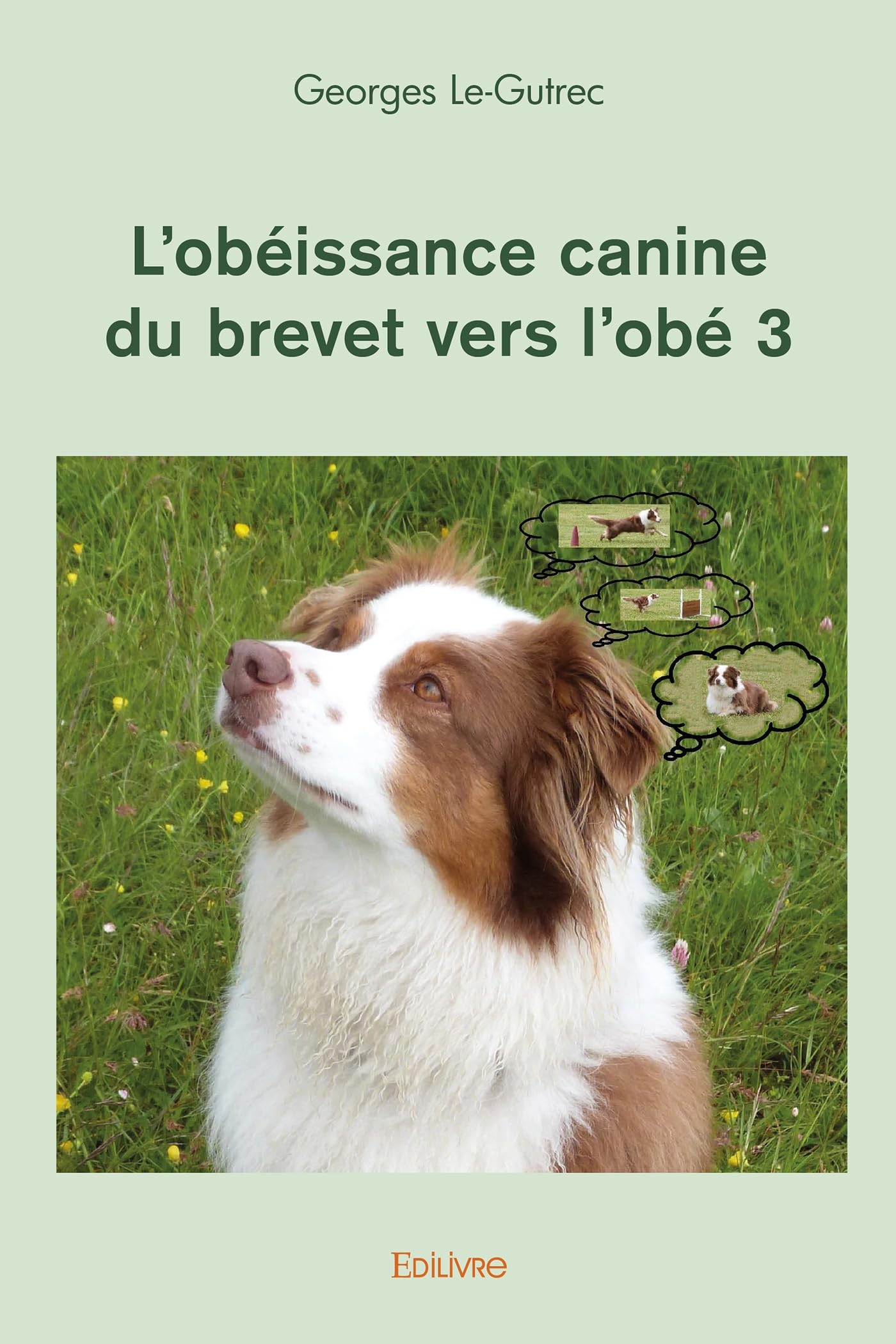 L'obéissance canine du brevet vers l'obé 3 manuel concours chien
