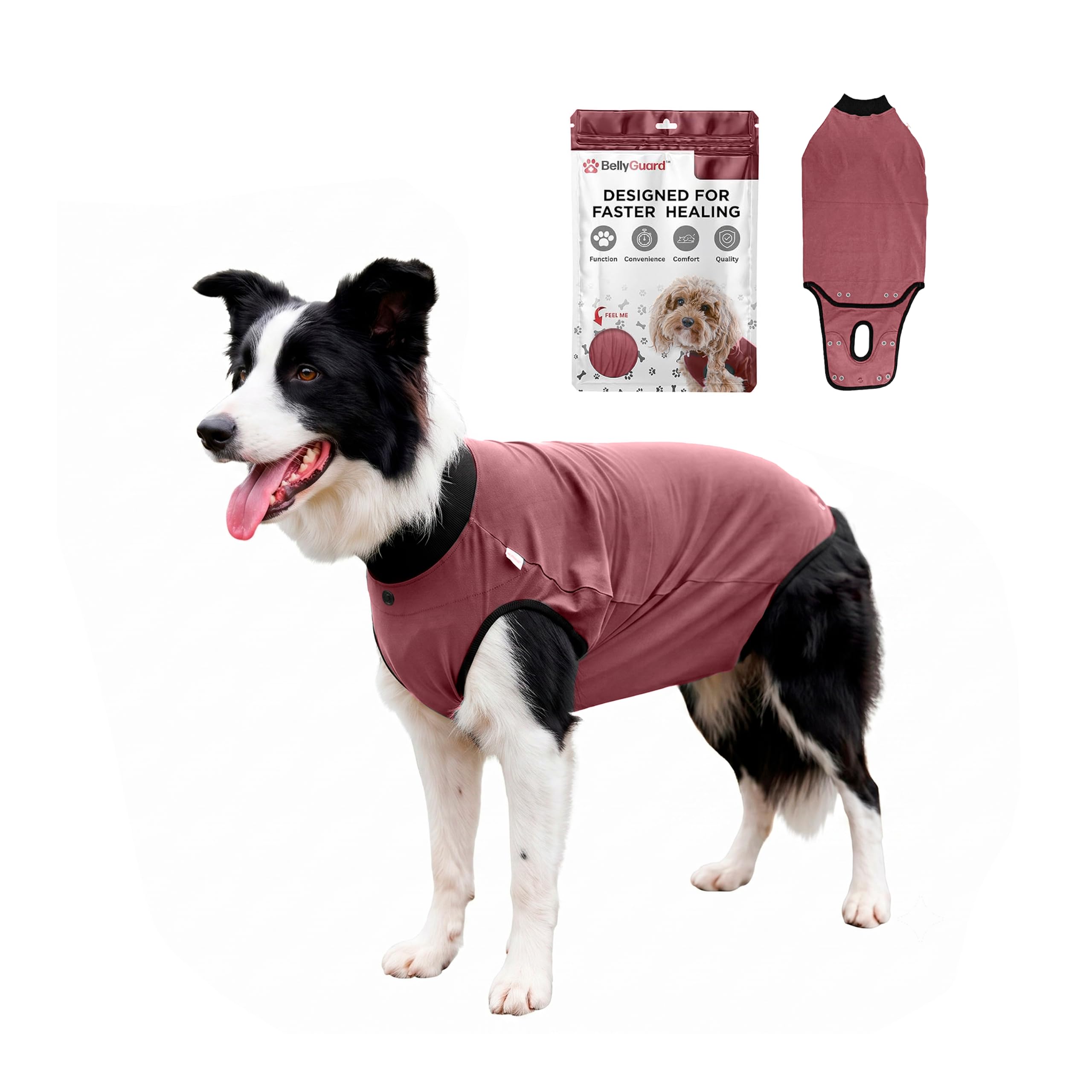 BellyGuard Dog Surgery Recovery Suit, Male Female After Spay Neuter Onesie