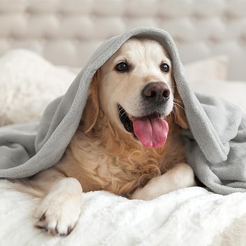 Miniatura 93 de BEDELITE Fleece Blanket White Throw Blanket for Couch & Bed, Luxury Plush Cozy Fuzzy Blanket 50" x 60", Super Soft Warm Lightweight Throw Blanket