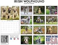 Vista 1120 de Razas de Perros 2017