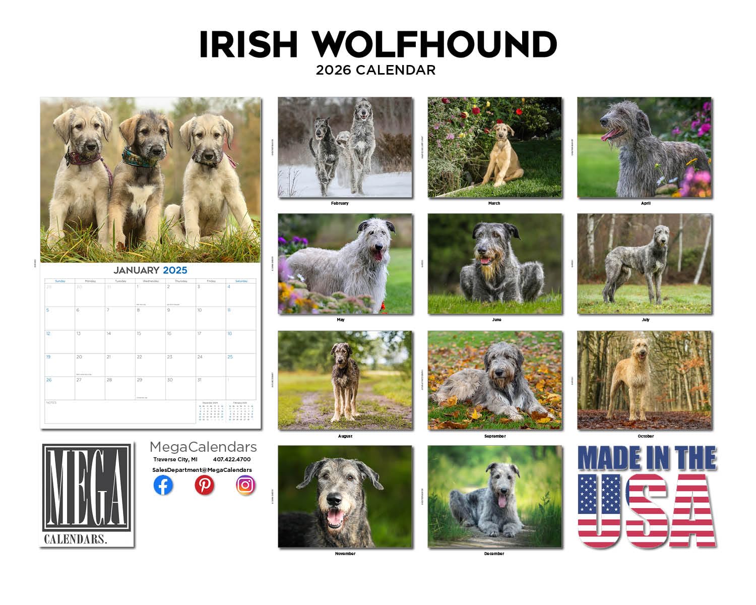 Calendario de perro lobo irlandés 2024 2025, calendario mensual de pared de raza de perro, abierto de 12 x 18 pulgadas, papel grueso que no se corre, regalo, planificador académico para profesores,